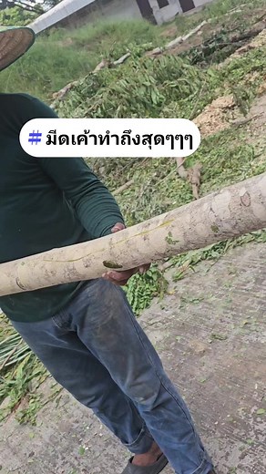 เครื่องสับย่อยกิ่งไม้ สำหรับสวนทุเรียน และรถแทรกเตอร์