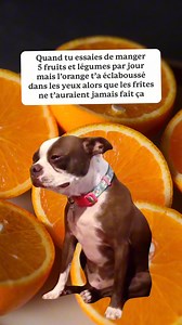 Les frites, elles ne déçoivent jamais 😂 | E.Leclerc DRIVE