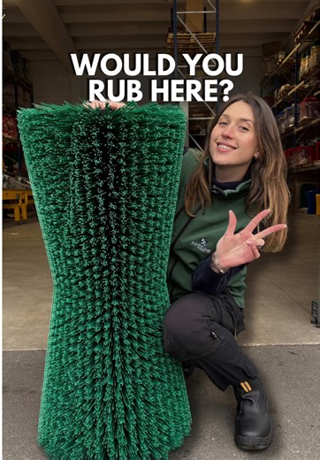 Enhancing Cow Comfort with Specialized Grooming Brushes