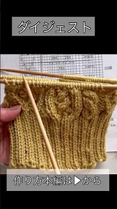 【編み物】【棒針】【DIY】ウール100％の毛糸で作るニット帽の作り方　なわ編みたっぷりアラン模様　なわ編み　knit　knitting　stick needle　knit hat　yarn