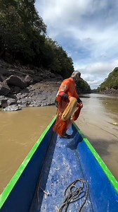 Tal ven la nueva atarraya? 😋#pesca #fishing #pescaria #colombia | Amigos de la pesca Fans