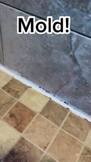 Effective Ways to Remove Mold from Your Shower