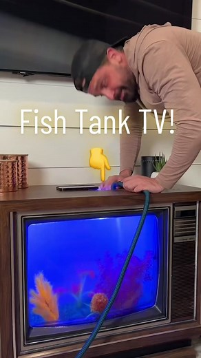 Transforming an Old TV into a Stunning Fish Tank | DIY Aquarium Project