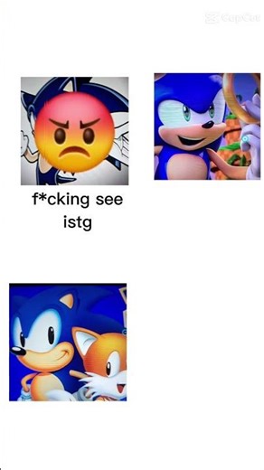 sonic gets cook-pls sub?