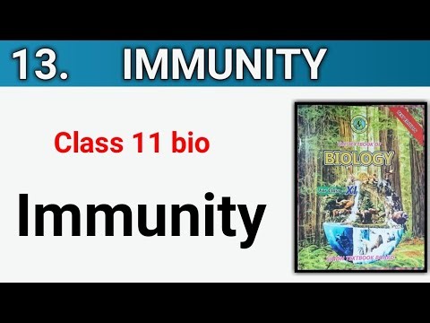 Immunity || Class 11 bio chapter 13 Immunity