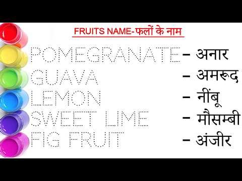 Fruits Name || फलों के नाम || Fruits Name in English and Hindi || study centre