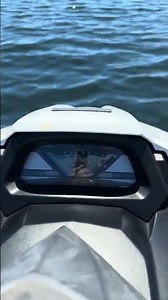 2019 YAMAHA VX CRUISER HO
