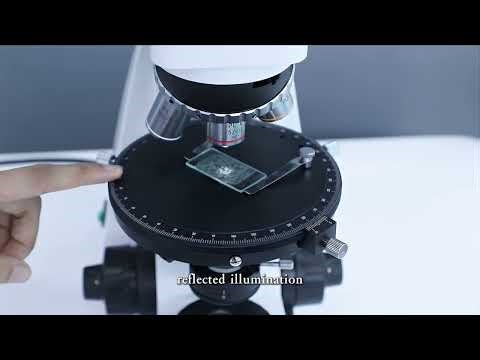 polarizing microscope