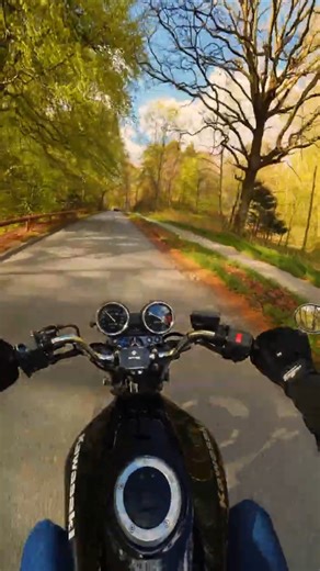 Mosgaard Forest | Kawasaki ER5 | 4K