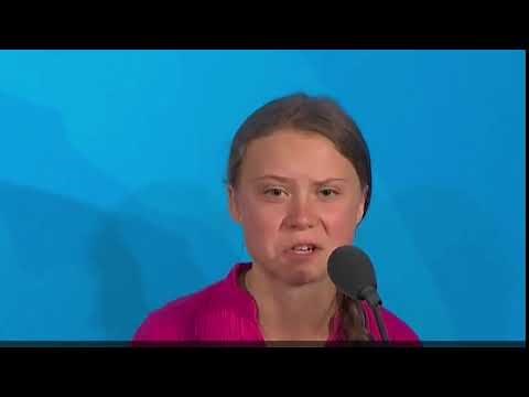 Greta Thunberg - how dare you - Meme
