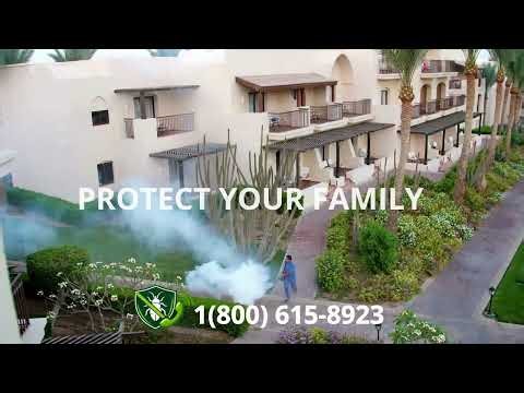 Top 3 Pest Control in Delray Beach