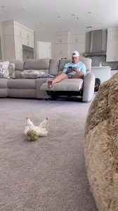 Possessed doll prank 😱😱😱 #scarecam #scareprank #scaring #pranks #funny #funnyprank #fails #jumpscare #lol #fyp | TomVid