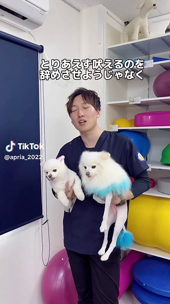 愛犬の吠えの理由を考えよう
