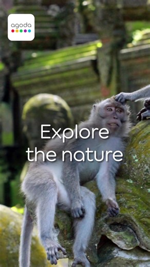 Exploring the world just got cheaper! Book now and enjoy unbeatable rates on hotels in 180 countries worldwide! | agoda