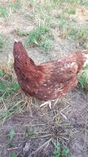 little bit of my life