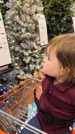 Official Christmas Tree tester, reporting for duty! ❤️ . . . . . #family #love #baby #cute #happy #memories #babiesofinstagram #parenthood #toddler #toocute #christmas #tree #christmastree #holiday #homedepot | Maddyanddaddyadventures | Facebook