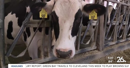 Wisconsin farm uses AI robots to revolutionize dairy industry