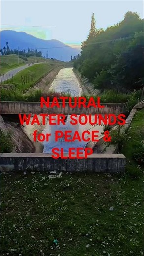 Flowing Water Sounds for Sleep | Natural River Stream White Noise 1 Hour 4K