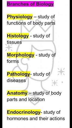 Science Education: Key Topics and Branches Explained