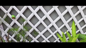 2.9K views · 64 reactions | The most stunning house tour you'd ever see. Save this now for some major house renovation inspiration! #decorinspiration #interiordesign #decorhome #interior #designyourhome #inspiration #housedesign #housetour #atomberg #whynot | Atomberg Technologies | Facebook