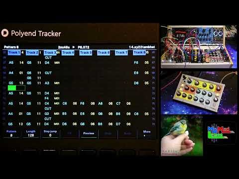 Reminiscence By Madija (Polyend Tracker with Moog Sirin & Modular Synth)