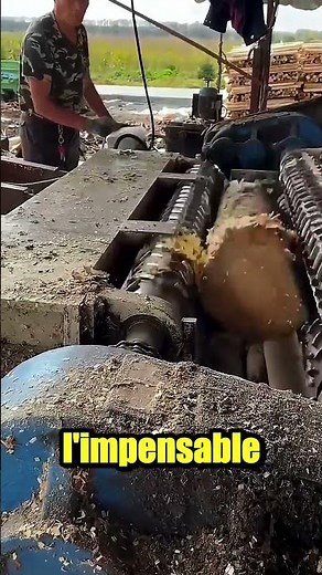 He chops wood… and discovers a giant snake! 😱