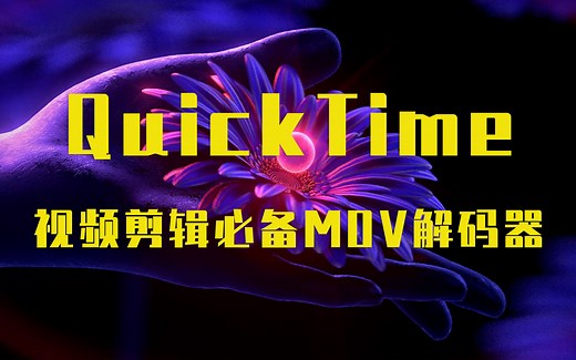 QuickTime player专业版影视后期设计视频剪辑必备必备MOV解码器