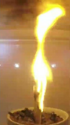Microwaving a Fire is 👌