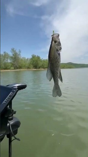 New G3 is fully rigged and first time out testing. So far so good.