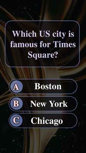 Which US city is famous for Times Square?