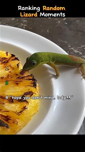 Ranking random lizard moments👀