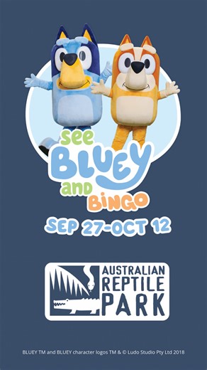 4.7K views | Wackadoo! Bluey and her little sister Bingo are heading...