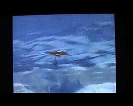 First loop in a hang glider. Pilot Rudy Kishazy