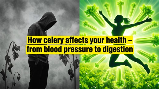 How celery affects your health – from blood pressure to digestion