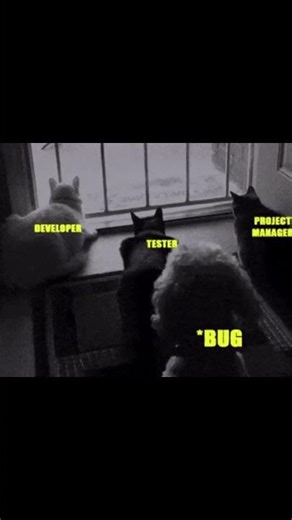 Team coding #coding #programming #javascript #python #shortvideo
