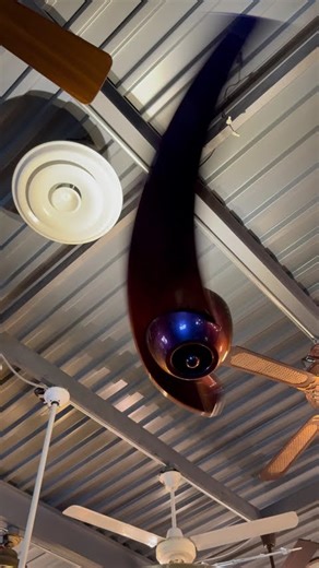 Fanimation enigma ceiling fan at fanimation