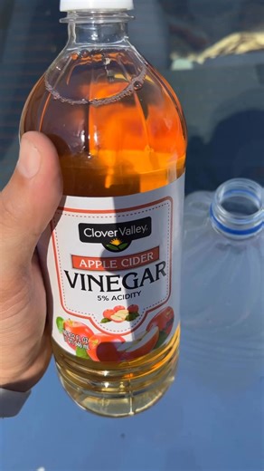 Griffith Ceith James | How to get rid of yellow jacket! | Instagram