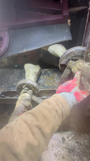 15K views · 191 reactions | Hobbles or Shackles on Legs Explanation | Steve Wunderlich Hoof Care | Facebook