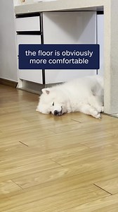 Let the auto insurance savings start today. Switch to Allstate and you could save $713.* | Allstate