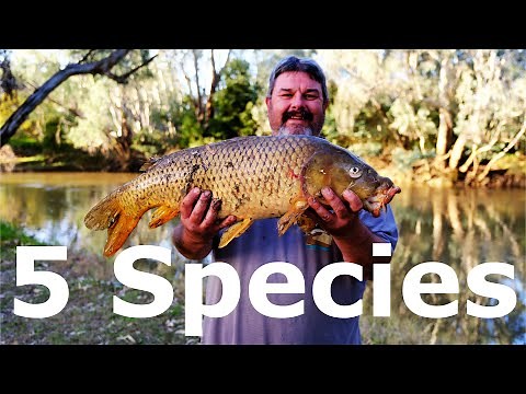 A PROPER Freshwater Fishing Adventure With Robbie Alexander