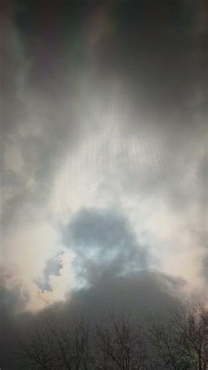 put on for my city gyms jams from the magical City Essence Golden bears still lingers Gems🥊🥋🎾🎿🏑🥎🏀🏐🏈⚽