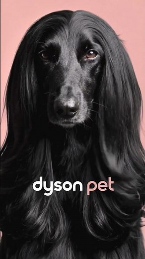 The Dyson Beauty Pet range.