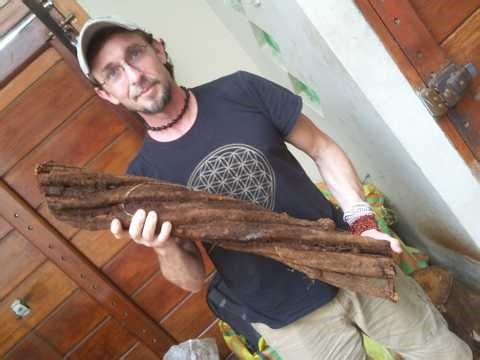 The Consequences Of Deep Work With Entheogens & Psychedelics