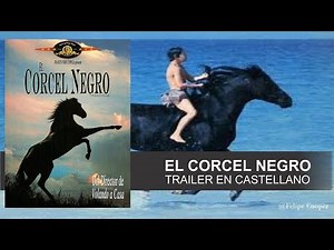 THE BLACK STALLION (1979)