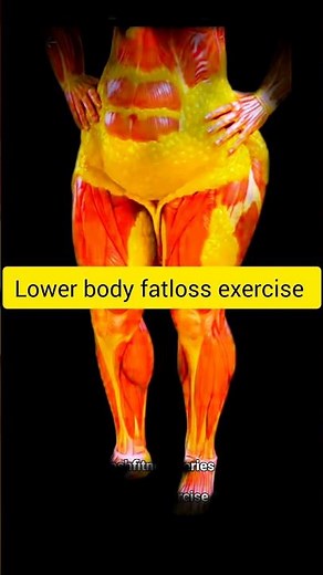 The Best Lower Body workout for Weight Loss (At Home)