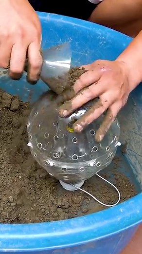 934K views · 10K reactions | How To Make A Hanging Ball Garden With Beautiful Portulaca Mossrose Flowers For The Balcony | DIY Balcony Garden | Facebook