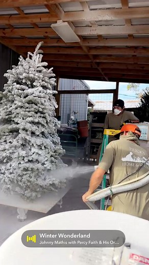 And it begins… ❄️ 🎄 | Huck’s Home & Garden