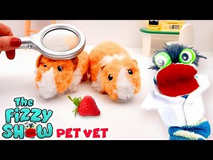 Fizzy The Pet Vet Takes Care of Baby Guinea Pigs ❤️‍🩹 | Fun Videos For Kids