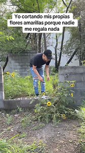 745K views · 14K reactions | Pero de que me dan mis flores amarillas me las dan  #comedia #floresamarillas #humor #flores | juliolopezjl | Facebook