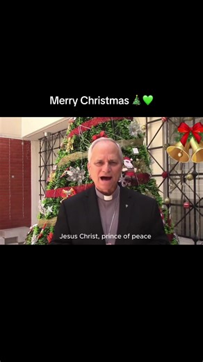 A throwback Christmas message from Pope 🎄💚🥹 #catholic #popeleo #papaleone #merrychrismas #love